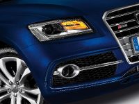 Audi SQ5 TDI (2013) - picture 14 of 38