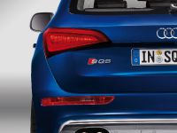 Audi SQ5 TDI (2013)