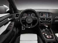 Audi SQ5 TDI (2013) - picture 27 of 38