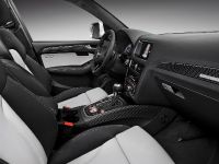 Audi SQ5 TDI (2013) - picture 29 of 38
