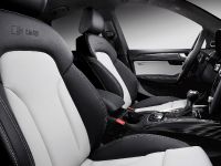 Audi SQ5 TDI (2013)