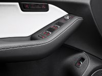 Audi SQ5 TDI (2013)
