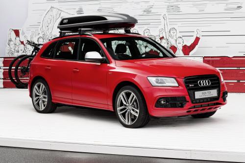 Audi SQ5 Worthersee (2014) - picture 1 of 13
