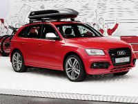 Audi SQ5 Worthersee (2014) - picture 1 of 13