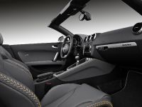 Audi TTS Competition (2013) - picture 13 of 21