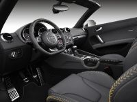 Audi TTS Competition (2013)