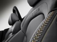 Audi TTS Competition (2013)