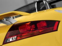 Audi TTS Competition (2013)