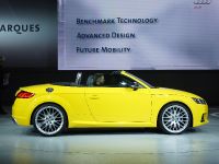 Audi TTS Paris (2014) - picture 6 of 10