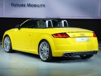 Audi TTS Paris (2014)