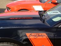 ROUSH Barrett-Jackson Edition Ford Mustang (2010) - picture 5 of 24