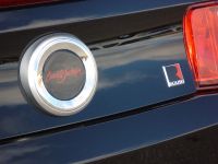 ROUSH Barrett-Jackson Edition Ford Mustang (2010) - picture 19 of 24