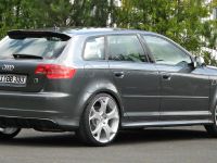 B&B Audi RS3 (2011) - picture 4 of 7