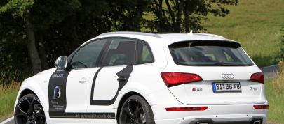 BB Audi SQ5 TDI (2013) - picture 4 of 12