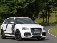 BB Audi SQ5 TDI (2013) - picture 1 of 12