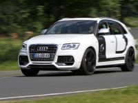 BB Audi SQ5 TDI (2013) - picture 2 of 12