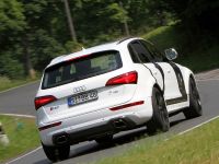 BB Audi SQ5 TDI (2013) - picture 3 of 12