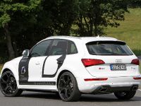 BB Audi SQ5 TDI (2013) - picture 4 of 12