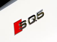 BB Audi SQ5 TDI