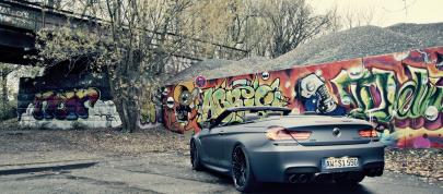 BBM Motorsport BMW M6 (2013) - picture 4 of 8