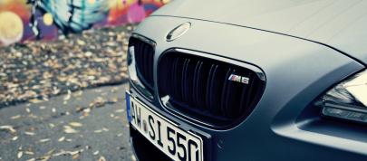 BBM Motorsport BMW M6 (2013) - picture 7 of 8