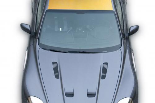 Bentley and Aston Martin with the Golden roof (2008) - picture 1 of 3