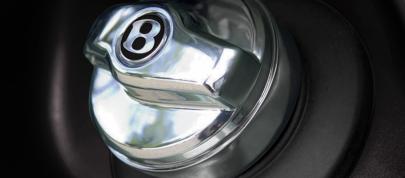 Bentley Arnage (2008) - picture 7 of 15