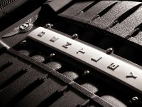 Bentley Continental Flying Spur Speed (2009) - picture 14 of 18