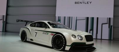 Bentley Continental GT3 Paris (2012) - picture 4 of 17