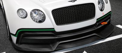 Bentley Continental GT3 Paris (2012) - picture 12 of 17