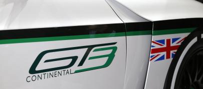 Bentley Continental GT3 Paris (2012) - picture 15 of 17
