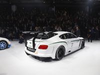 Bentley Continental GT3 Paris (2012) - picture 11 of 17