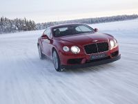 Bentley Continental GT3-R (2014) - picture 3 of 3