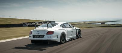 Bentley Continental GT3 Race Car (2013) - picture 4 of 15