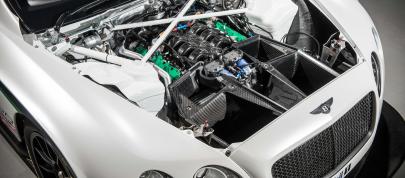 Bentley Continental GT3 Race Car (2013) - picture 12 of 15