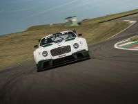 Bentley Continental GT3 Race Car (2013) - picture 2 of 15