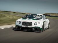 Bentley Continental GT3 Race Car (2013) - picture 3 of 15