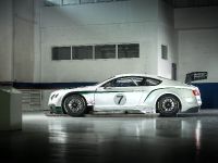 Bentley Continental GT3 Race Car (2013) - picture 10 of 15