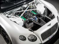 Bentley Continental GT3 Race Car (2013)