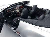 Bentley Continental Supersports Convertible ISR (2011) - picture 5 of 6