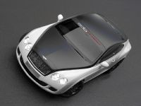 Bentley edo speed GT (2009) - picture 6 of 9
