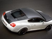 Bentley edo speed GT (2009) - picture 8 of 9