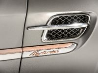 Bentley Hybrid Concept (2014) - picture 11 of 13