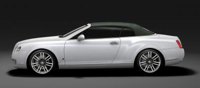 Bentley Series 51 (2010) - picture 4 of 6