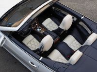 Bentley Series 51 (2010) - picture 2 of 6