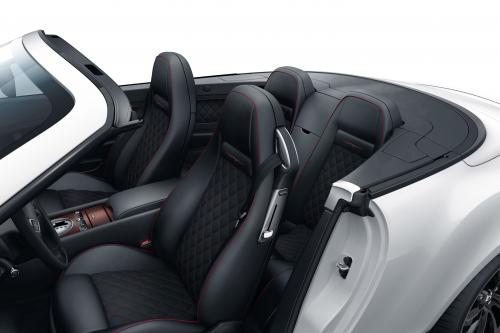 Bentley Supersports Ice Speed Record (2011) - picture 9 of 15