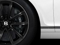 Bentley Supersports Ice Speed Record (2011) - picture 6 of 15