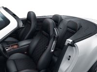 Bentley Supersports Ice Speed Record (2011)