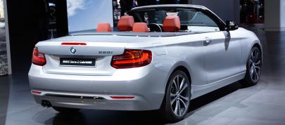 BMW 2-Series Convertible Paris (2014) - picture 7 of 8