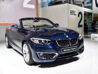 BMW 2-Series Convertible Paris 2014
